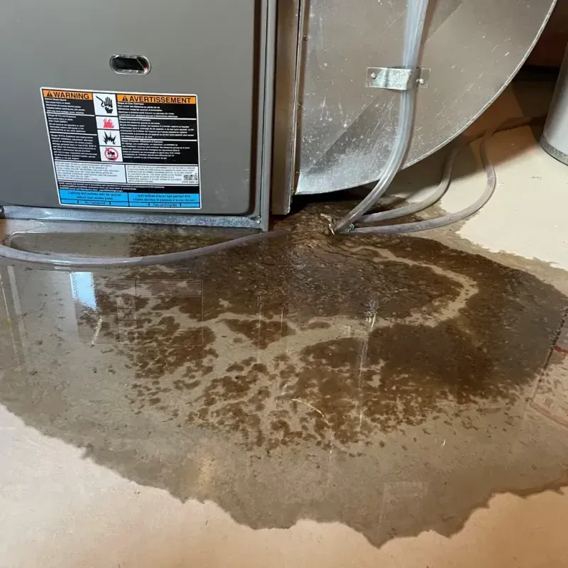 Appliance Leak Cleanup in Mount Vernon, AL